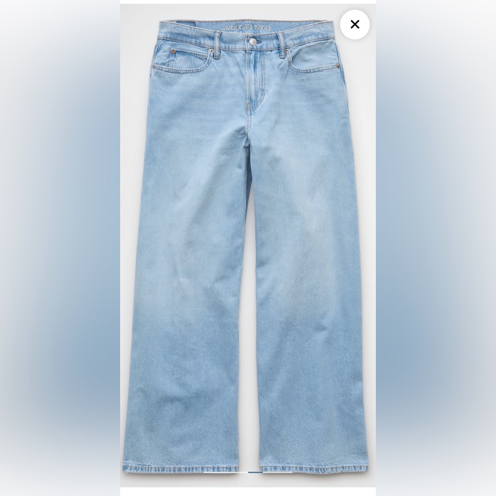 AE Strigid Low-Rise Ultra Wide-Leg Jean